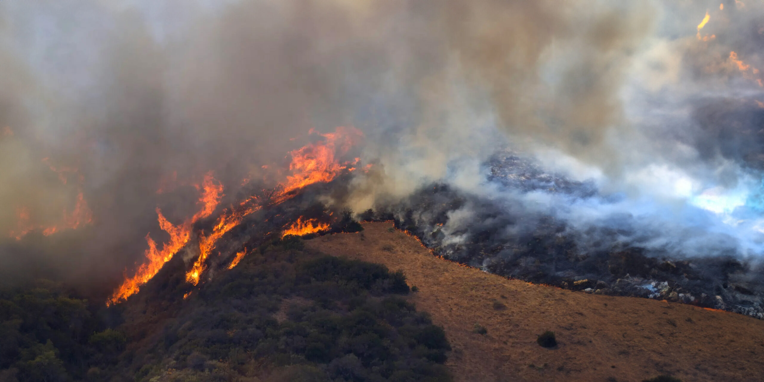 generative grass Fire