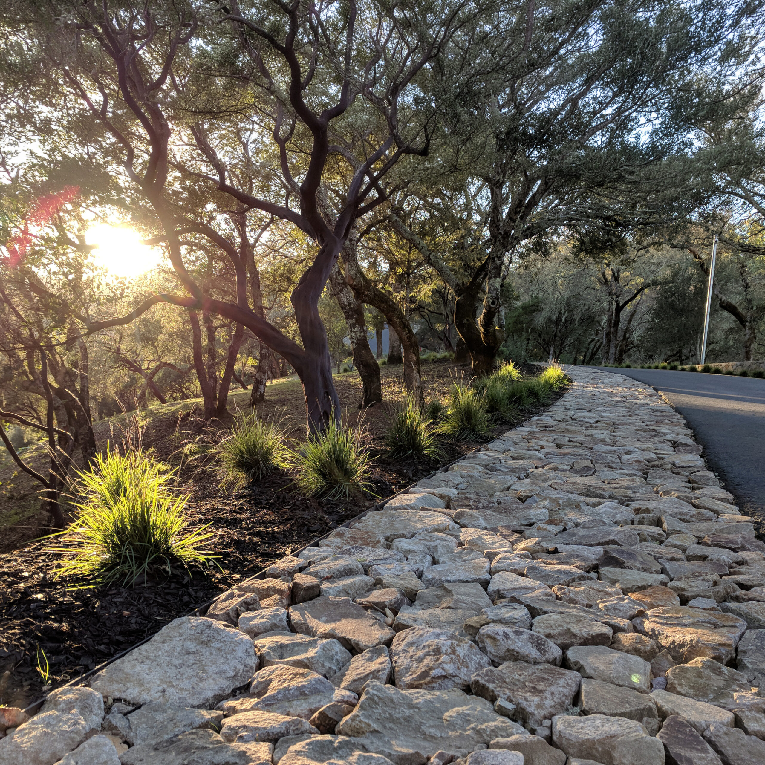 Bryant_Drive